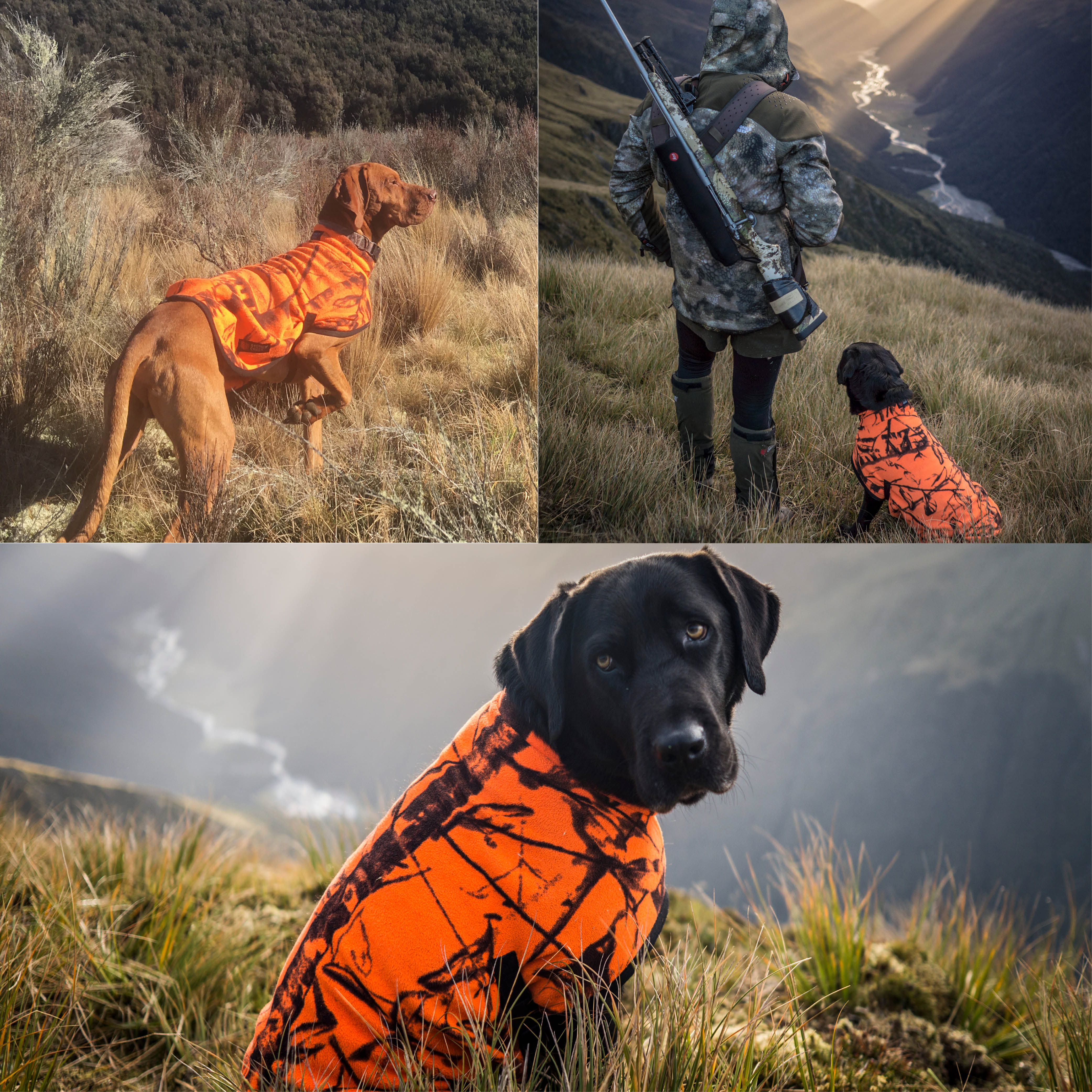 Jones Dog Coat Blaze Orange Blaze Blue Watermelon Black
